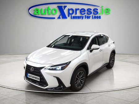 2023 Lexus NX - photo 4