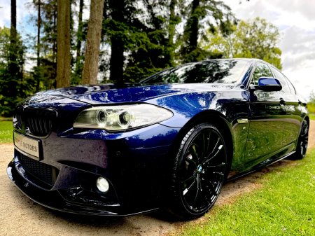 2016 BMW 5-Series - photo 39