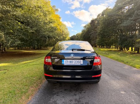 2017 Skoda Octavia - photo 6