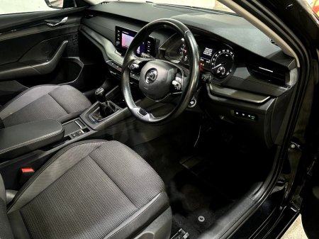 2023 Skoda Octavia - photo 10