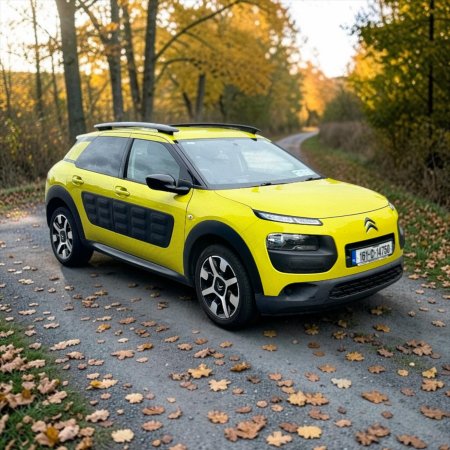 2016 Citroen C4 Cactus - photo 5