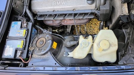 1989 BMW 325i Motorsport Cabriolet - photo 29