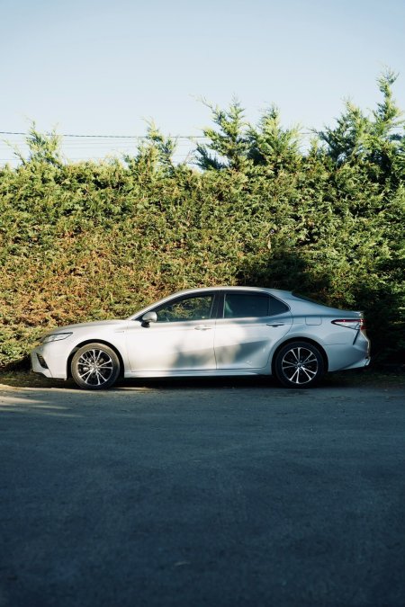 2019 Toyota Camry - photo 2