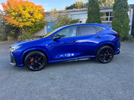 2025 Lexus NX - photo 10