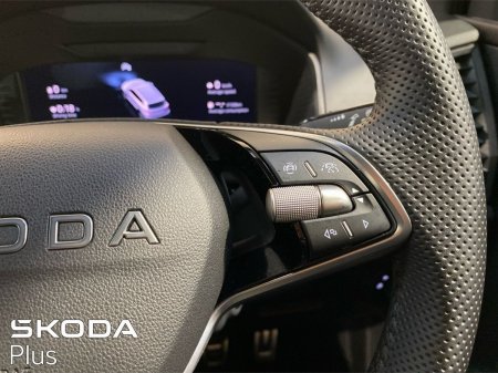 2026 Skoda Karoq - photo 21