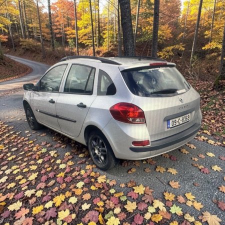 2009 Renault Clio - photo 6