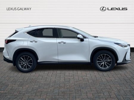 2024 Lexus NX - photo 3