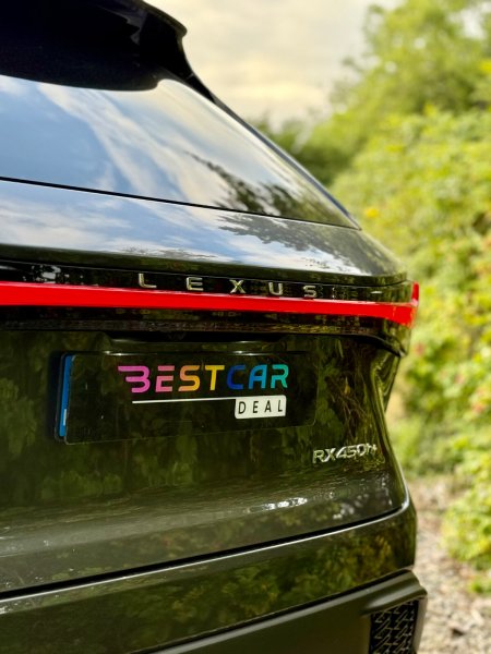 2025 Lexus RX - photo 38