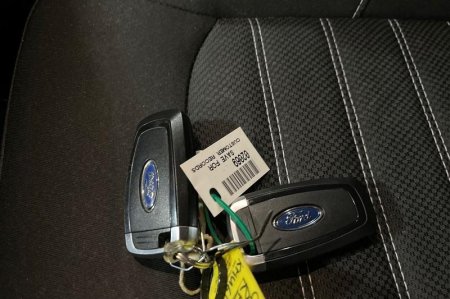 2021 Ford Galaxy - photo 22
