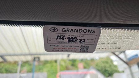 2019 Toyota RAV4 - photo 14