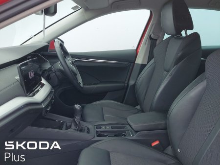 2023 Skoda Octavia - photo 4