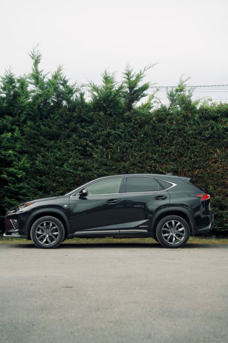 2019 Lexus NX - photo 2