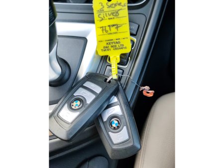 2016 BMW 3-Series - photo 19