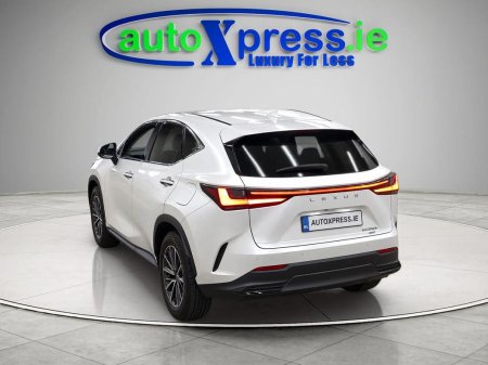 2023 Lexus NX - photo 3