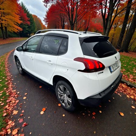 2018 Peugeot 2008 - photo 2
