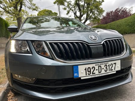 2019 Skoda Octavia - photo 3