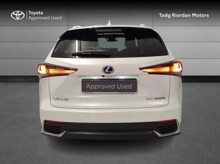 2021 Lexus NX - photo 4