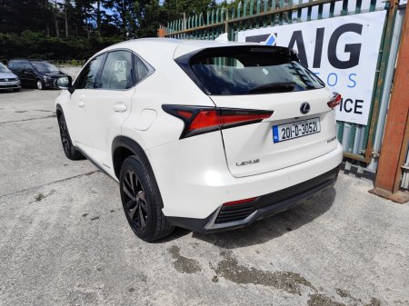 2020 Lexus NX - photo 6