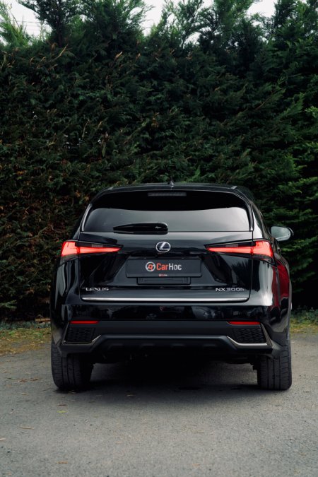 2019 Lexus NX - photo 5