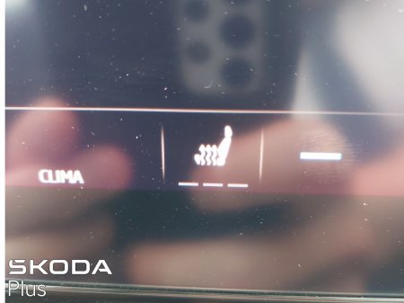 2023 Skoda Octavia - photo 33