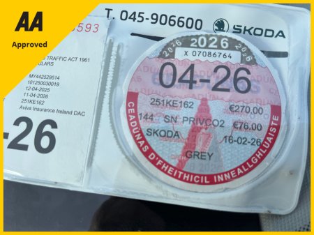 2025 Skoda Kodiaq - photo 9