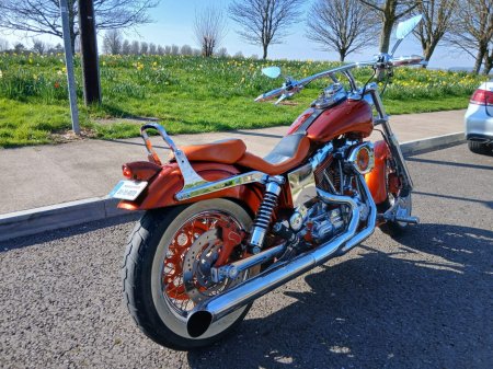2000 HARLEY DAVIDSON SPORTSTER - photo 4