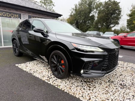 2024 Lexus RX - photo 9