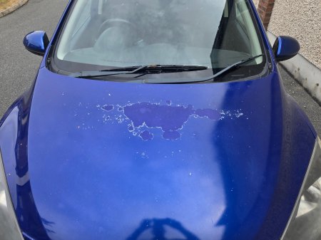 2010 Mazda Mazda2 - photo 6