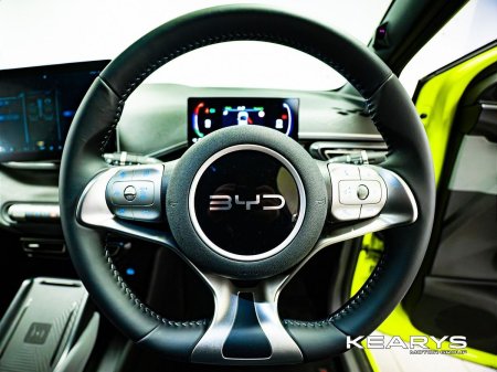 2026 BYD DOLPHIN SURF - photo 30