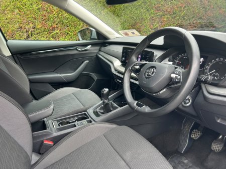 2024 Skoda Octavia - photo 8