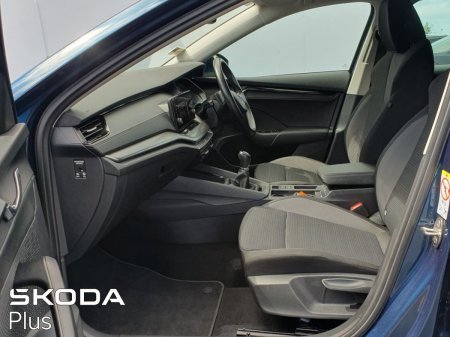 2023 Skoda Octavia - photo 4
