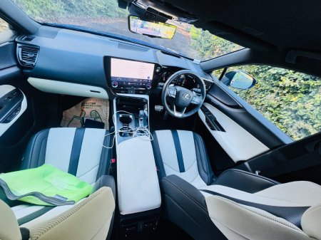 2025 Lexus NX - photo 20