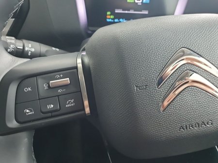 2024 Citroen e-C4 X - photo 35
