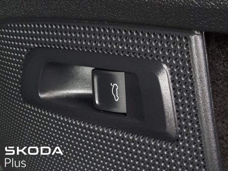 2024 Skoda Kodiaq - photo 3