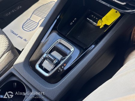 2022 Skoda Octavia - photo 16