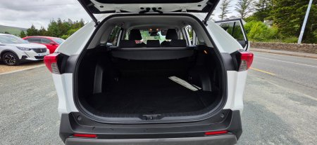 2019 Toyota RAV4 - photo 11