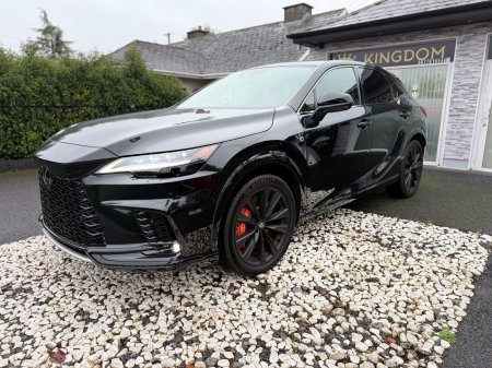 2024 Lexus RX - photo 13