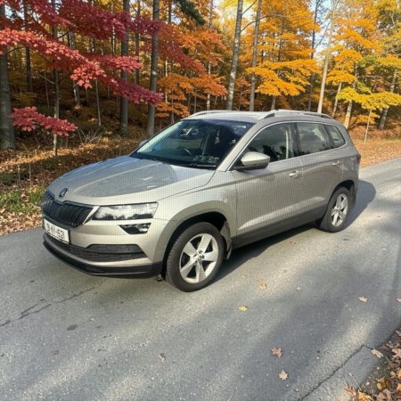 2019 Skoda Karoq - photo 5