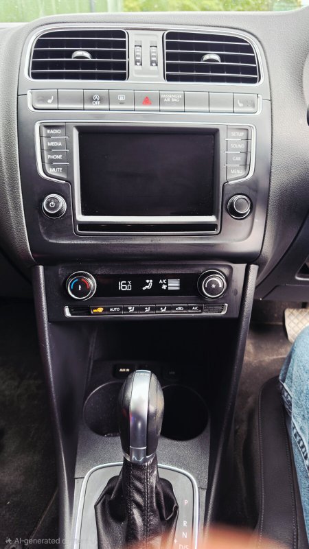 2015 Volkswagen Polo - photo 9