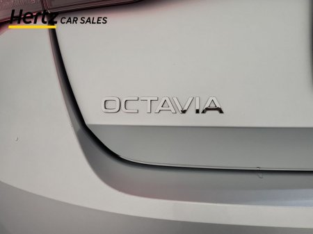 2025 Skoda Octavia - photo 11