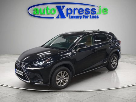 2021 Lexus NX - photo 4