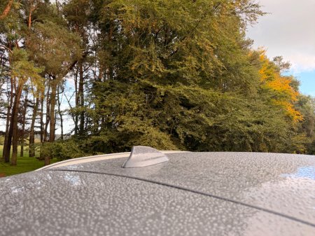 2020 BMW X1 - photo 39