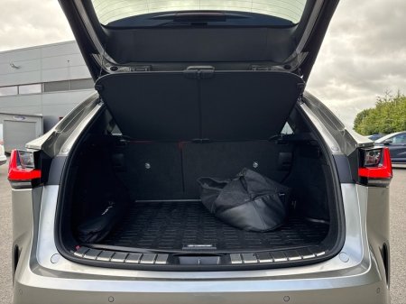 2024 Lexus NX - photo 10