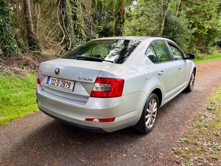 2013 Skoda Octavia - photo 3
