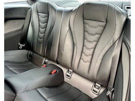 2019 BMW 8-Series - photo 20