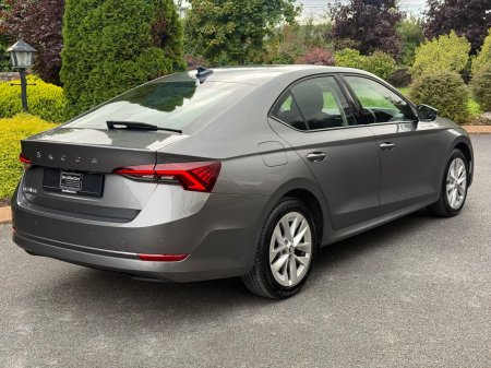 2023 Skoda Octavia - photo 7