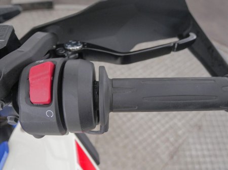 2025 BMW G 310 GS - photo 11