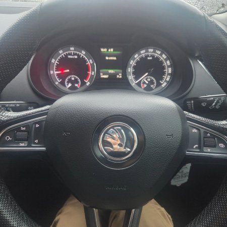 2017 Skoda Octavia - photo 12