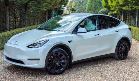 2024 Tesla Model Y - photo 3