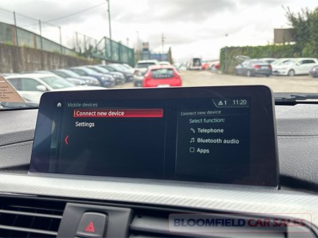 2019 BMW 3-Series - photo 18